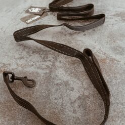 Laisse pour chien OneTigris 182cm