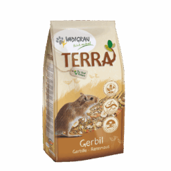Terra Gerbille
