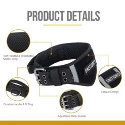 Collier pour chien en nylon rembourré