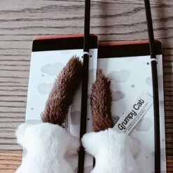 Grumpy canne à pêche chat