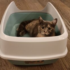 Bac litière Maryloo 98% recyclé