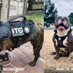 Image utilisation harnais