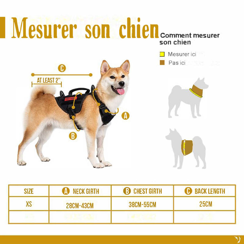 AnimôBest