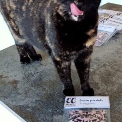 Coussin pour chats avec racines de valériane