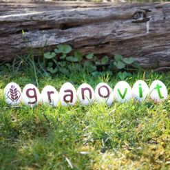 Alternative view of Canards et oies à l'herbe