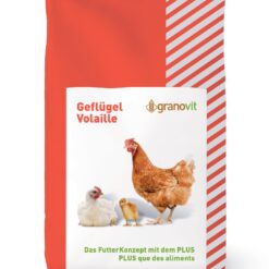 Aliment complet pour poules Golden Compact Farine structurée