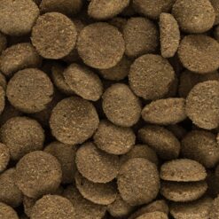 is-dog light croquettes