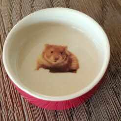 Mangeoire rongeur terre cuite hamster