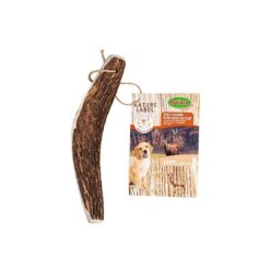 Bois de cerf coupé en deux - M