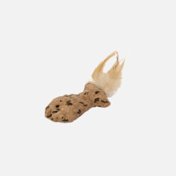 Jouets en liège pour chats poisson