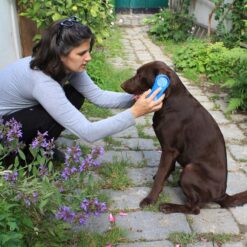 Alternative view of MagicBrush Dog Soft