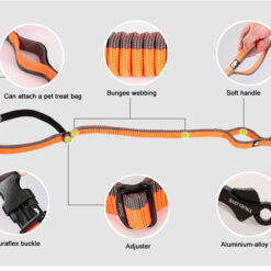 Information laisse jogging