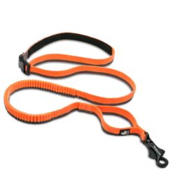 Laisse pour jogging et montagne Truelove