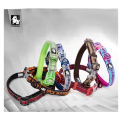 Collier Truelove Flux