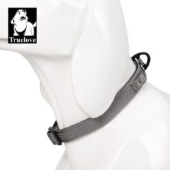 Collier sur chien flux gris