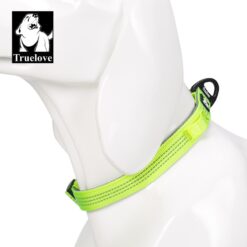 Collier sur chien