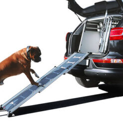 Alternative view of Rampe "Easystep"