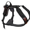 Non-stop Rock harness