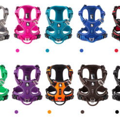 Harnais réfléchissant Truelove