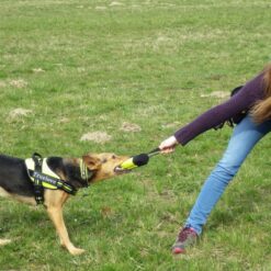 Alternative view of Sac de friandises Truelove