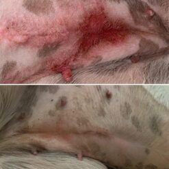 Alternative view of Baume Le Miraculeux