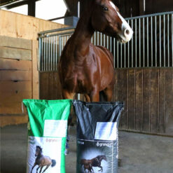 Alternative view of Carvalho Corn-Mix avec avoine