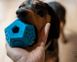 Alternative view of KIWI ICOSABALL