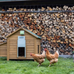 Alternative view of Unité de contrôle automatique pour porte de poulailler Basic