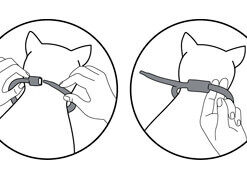 Alternative view of In-Fluence collier antiparasitaire pour chats