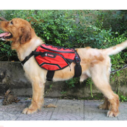 Harnais Backpack Truelove