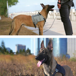 Alternative view of Harnais backpacker Truelove