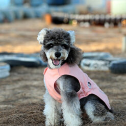 Alternative view of Manteau pour chien antibactérien Truelove