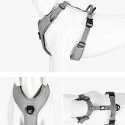 Alternative view of Harnais Truelove Mountain