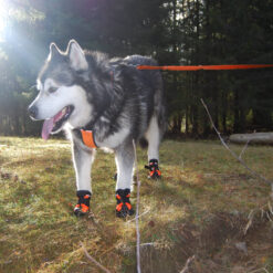Alternative view of Truelove Chaussure/Bottes avec semelle en caoutchouc