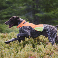 Alternative view of Non-stop Protector cover