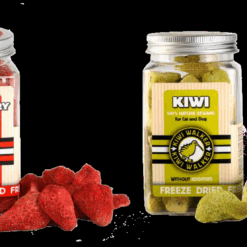 Alternative view of KIWI FRIANDISES LYOPHILISEES AU KIWI 40 G