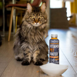 Alternative view of CATS DOGS VITAMIN WATER