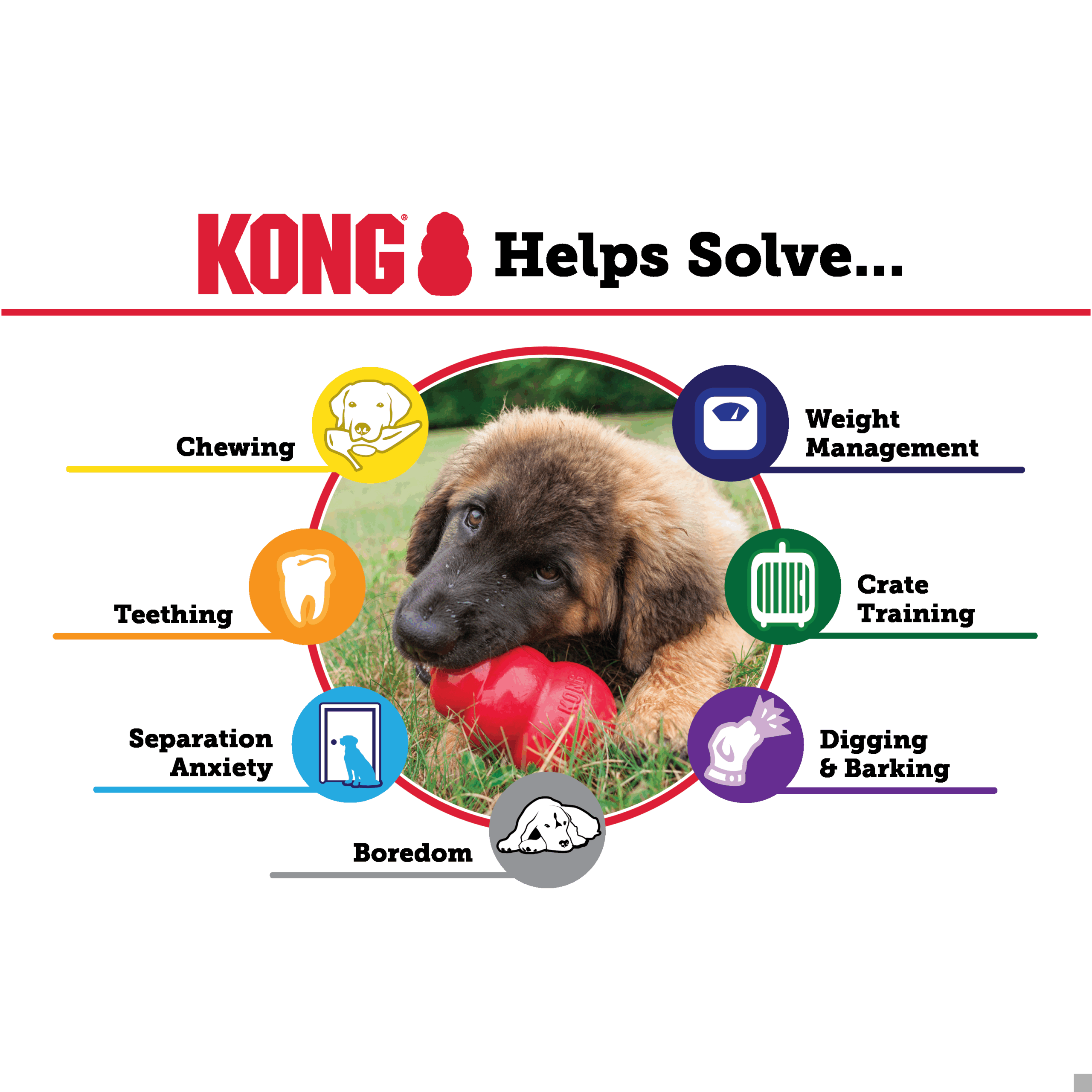 KONG® EXTREME – Image 5