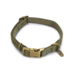 Designed by Lotte Collier pour chien - velours - vert - 35- 50cmx20mm
