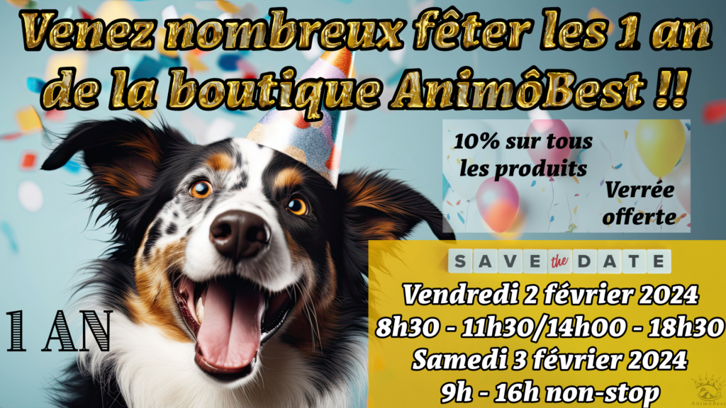 AnimôBest