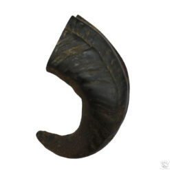 Alternative view of Corne de buffle