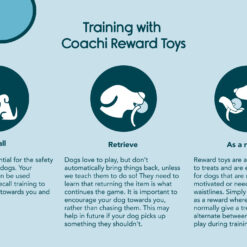 Alternative view of Tuggi Hide de Coachi