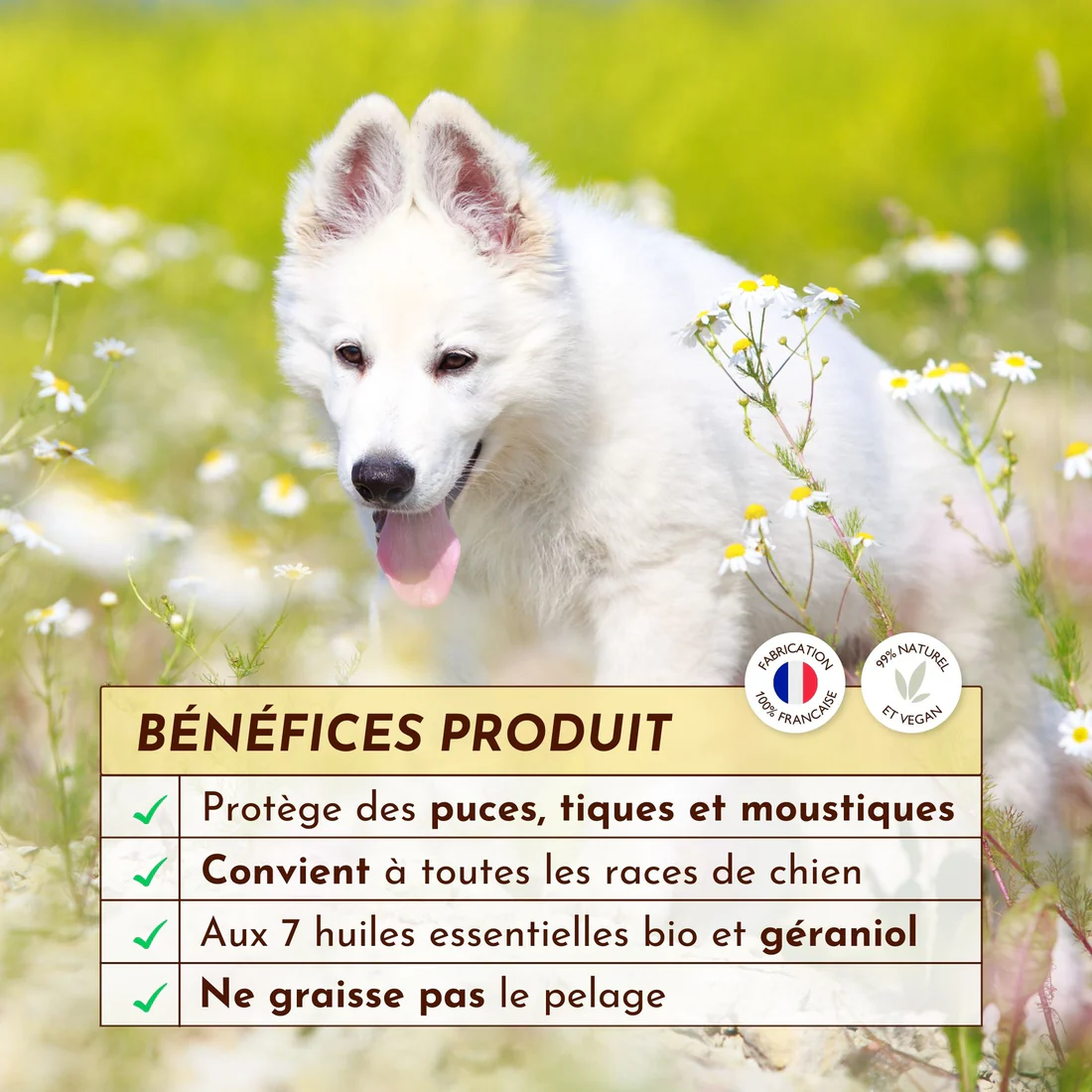 Lotion antiparasitaire La croisière sans bête – Image 5