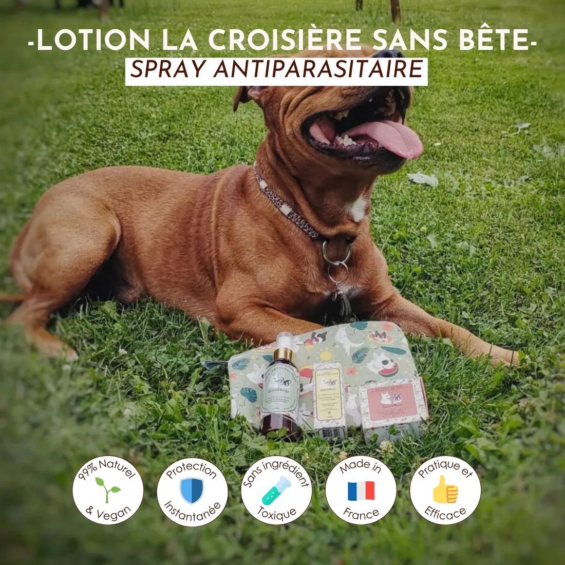 Lotion antiparasitaire La croisière sans bête – Image 2