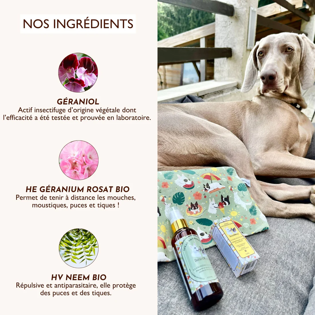 Lotion antiparasitaire La croisière sans bête – Image 4