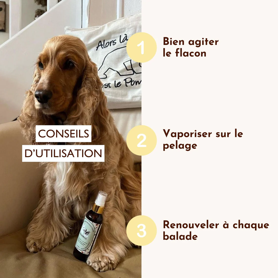 Lotion antiparasitaire La croisière sans bête – Image 3