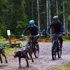 Alternative view of Non-stop Dogwear Bike antenna