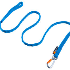 Non-stop Bungee leash