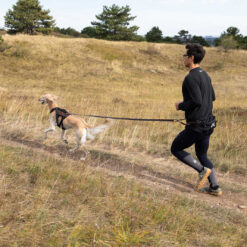 Alternative view of Non-stop Trail light belt