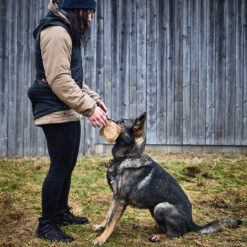 Alternative view of Obedience vest